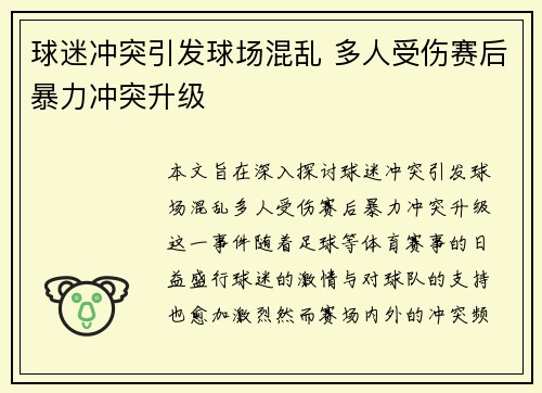 球迷冲突引发球场混乱 多人受伤赛后暴力冲突升级